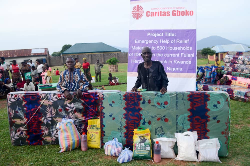 Rapid Response Funds (RRF) Project (ACN)